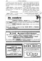 giornale/TO00210416/1906/unico/00000526