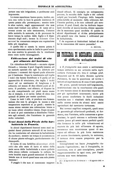 L' Italia agricola giornale di agricoltura