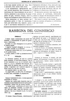 giornale/TO00210416/1906/unico/00000577