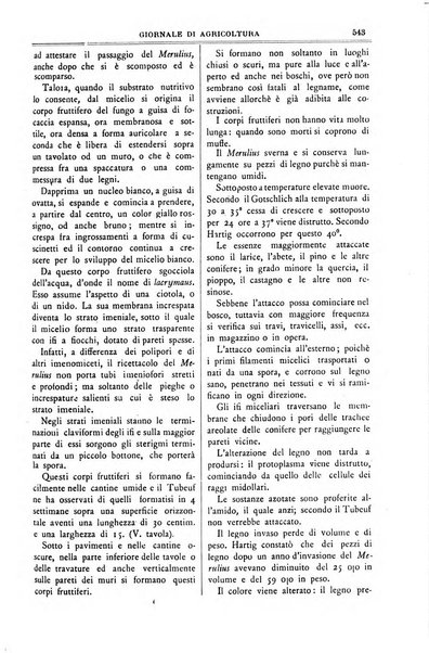 L' Italia agricola giornale di agricoltura