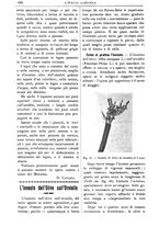 giornale/TO00210416/1906/unico/00000596