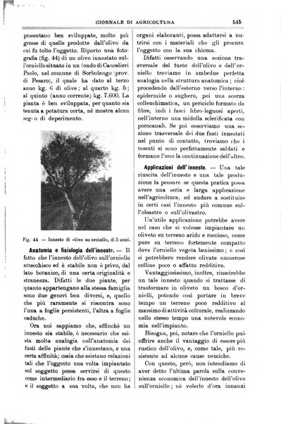 L' Italia agricola giornale di agricoltura