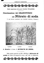 giornale/TO00210416/1906/unico/00000689