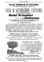 giornale/TO00210416/1906/unico/00000692