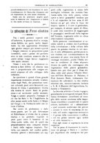 giornale/TO00210416/1907/unico/00000021