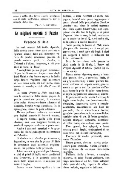 L' Italia agricola giornale di agricoltura