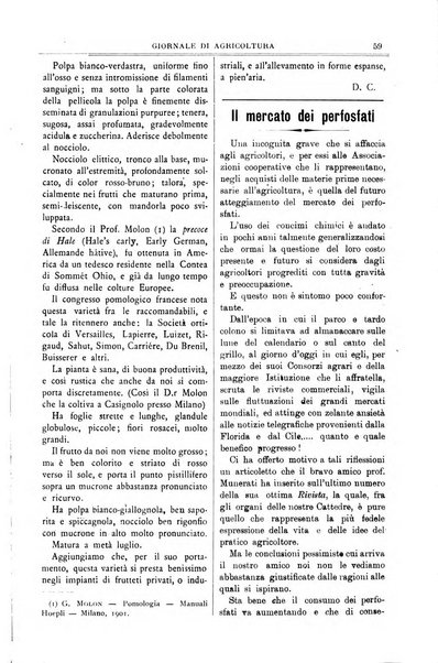 L' Italia agricola giornale di agricoltura