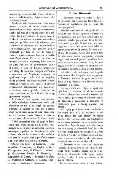 L' Italia agricola giornale di agricoltura