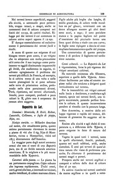 L' Italia agricola giornale di agricoltura