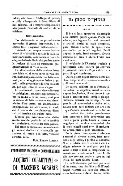 L' Italia agricola giornale di agricoltura