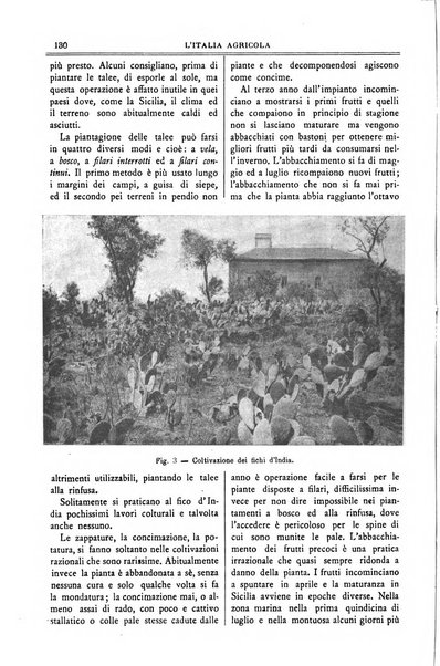 L' Italia agricola giornale di agricoltura