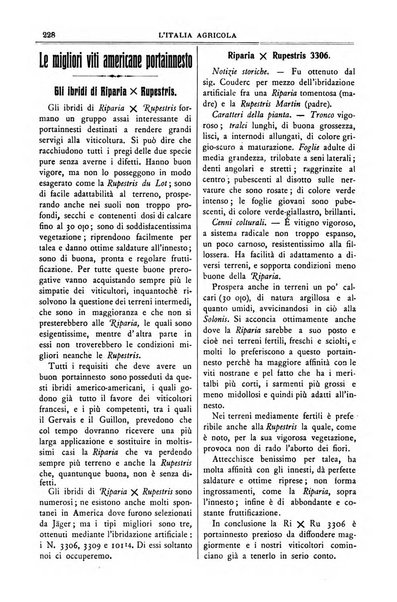 L' Italia agricola giornale di agricoltura