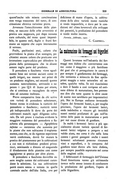 L' Italia agricola giornale di agricoltura