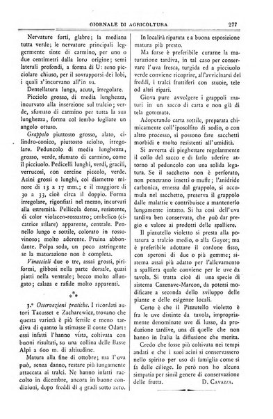 L' Italia agricola giornale di agricoltura