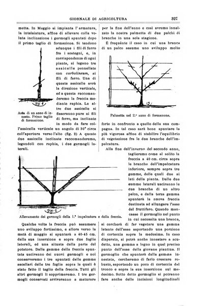 L' Italia agricola giornale di agricoltura