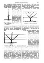 giornale/TO00210416/1907/unico/00000355