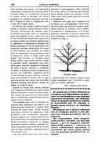 giornale/TO00210416/1907/unico/00000356