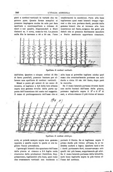 L' Italia agricola giornale di agricoltura