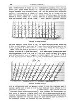 giornale/TO00210416/1907/unico/00000374