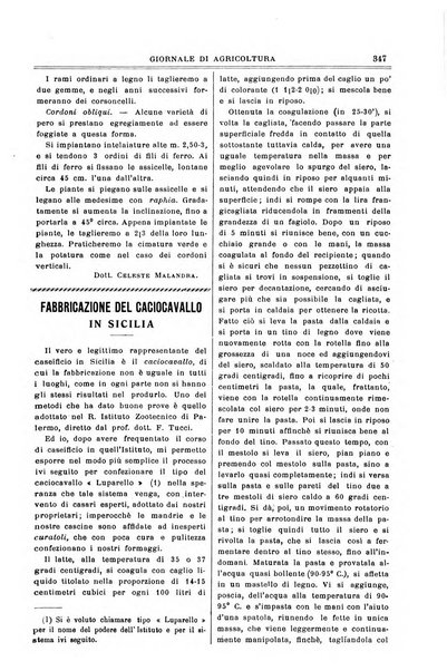 L' Italia agricola giornale di agricoltura