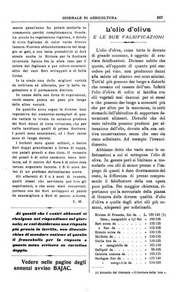 L' Italia agricola giornale di agricoltura