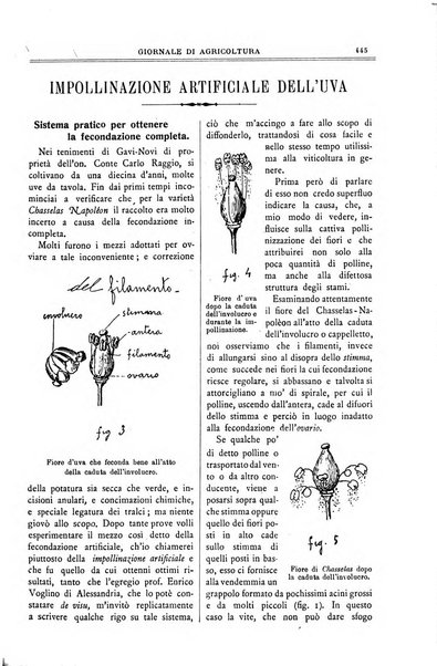 L' Italia agricola giornale di agricoltura