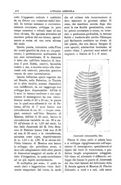 L' Italia agricola giornale di agricoltura