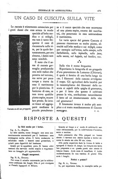 L' Italia agricola giornale di agricoltura