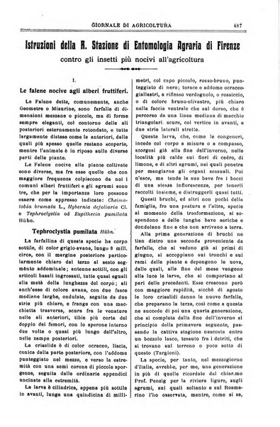 L' Italia agricola giornale di agricoltura