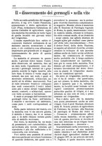 giornale/TO00210416/1907/unico/00000556