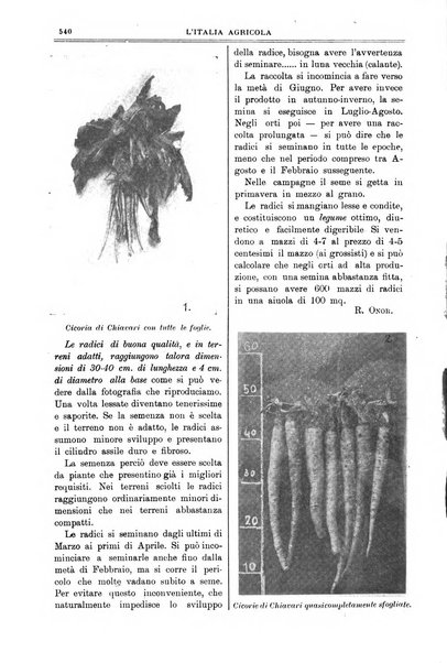 L' Italia agricola giornale di agricoltura