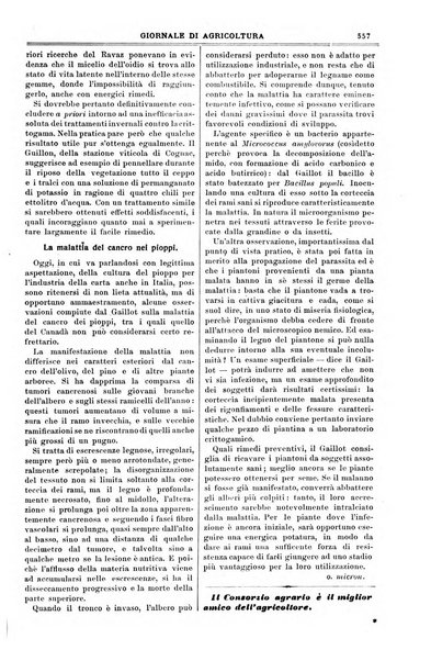 L' Italia agricola giornale di agricoltura