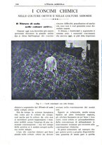 giornale/TO00210416/1907/unico/00000602