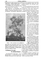 giornale/TO00210416/1907/unico/00000604