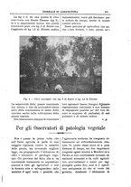 giornale/TO00210416/1907/unico/00000605