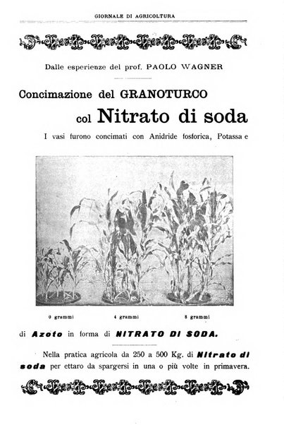 L' Italia agricola giornale di agricoltura