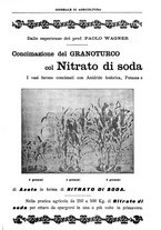 giornale/TO00210416/1907/unico/00000665