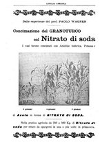 giornale/TO00210416/1907/unico/00000706