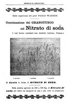 giornale/TO00210416/1907/unico/00000739