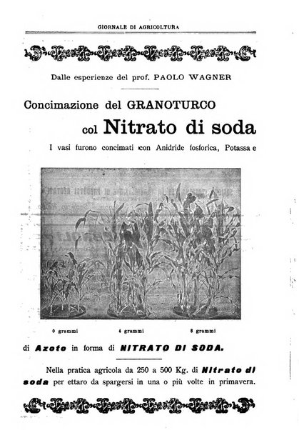 L' Italia agricola giornale di agricoltura