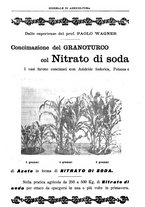 giornale/TO00210416/1907/unico/00000745