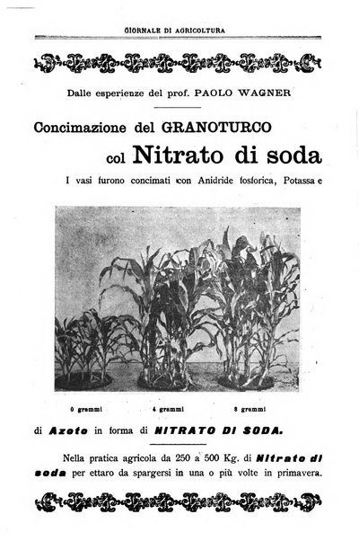 L' Italia agricola giornale di agricoltura