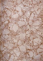 giornale/TO00210416/1908/unico/00000003