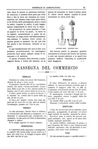 L' Italia agricola giornale di agricoltura