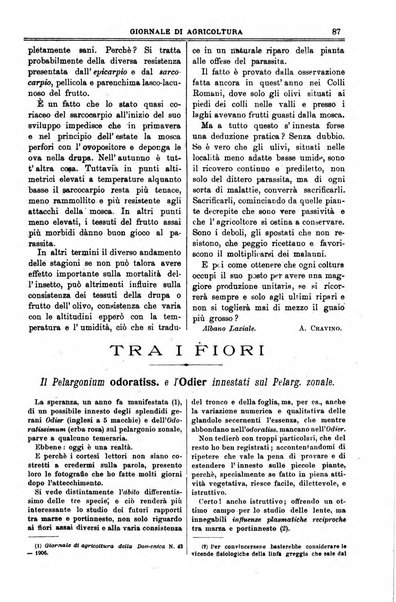 L' Italia agricola giornale di agricoltura