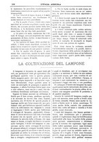 giornale/TO00210416/1908/unico/00000142