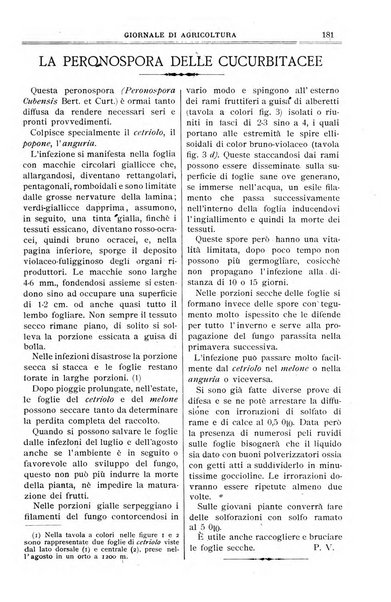 L' Italia agricola giornale di agricoltura