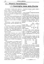 giornale/TO00210416/1908/unico/00000264