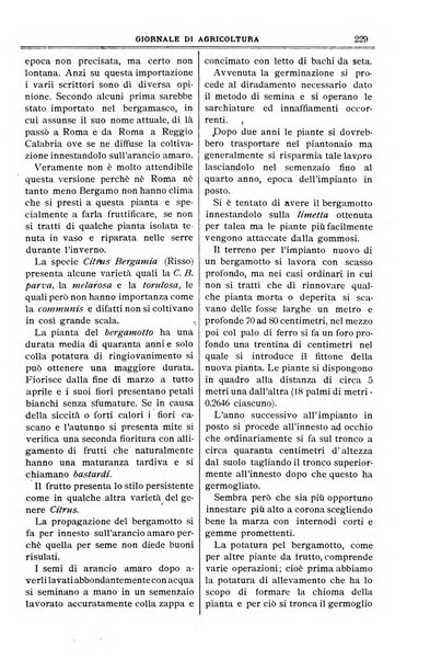 L' Italia agricola giornale di agricoltura