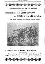 giornale/TO00210416/1908/unico/00000346